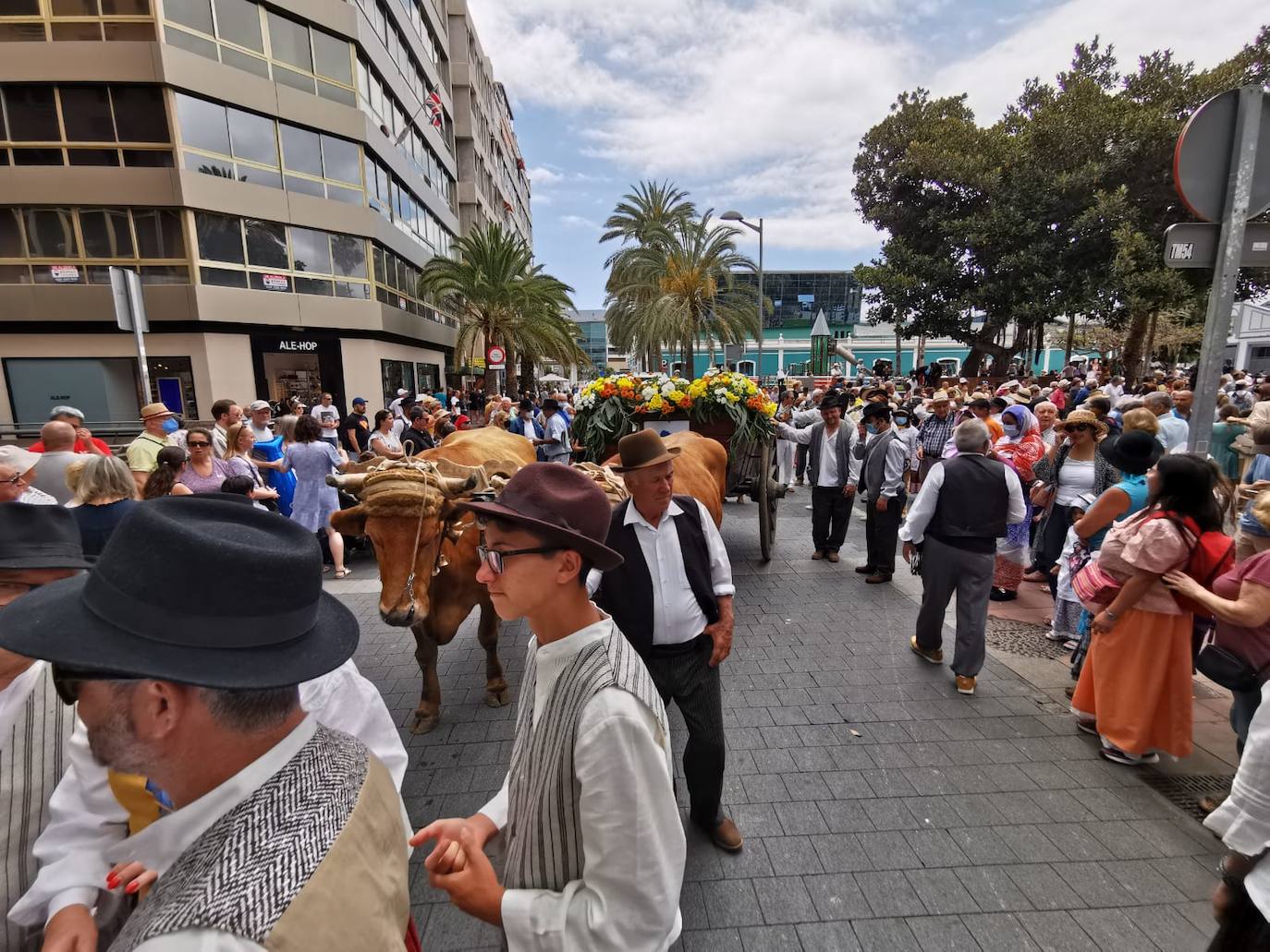 Fotos: El Paseo Romero regresa con fuerza