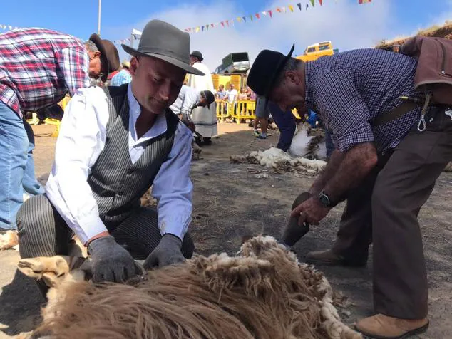 Fotos: Fiesta de la lana en Caideros de Gáldar