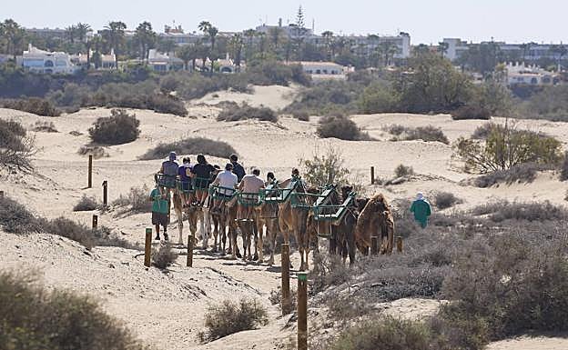 Las caravanas siguen una ruta muy definida y acotada por las dunas. 