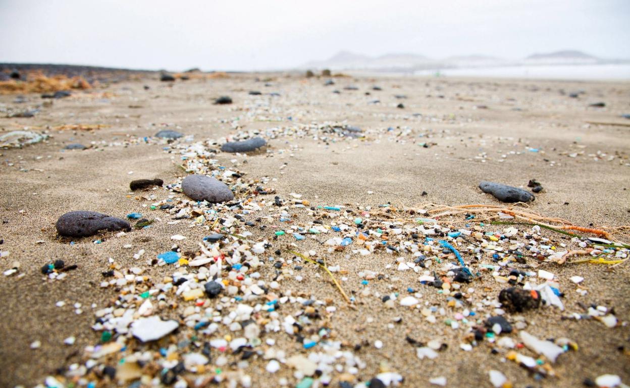 La proliferación de residuos plásticos es otra plaga medioambiental. 