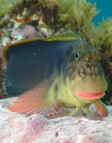 Imagen secundaria 2 - Estados Unidos reconoce el arte fotográfico de Lara Collado
