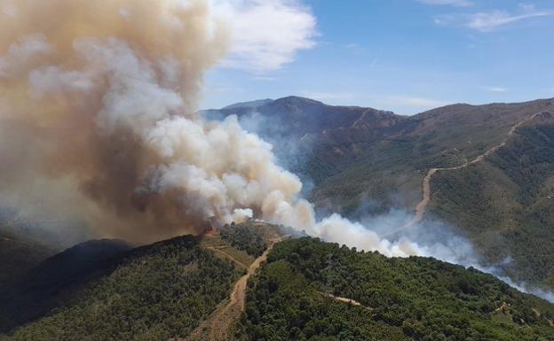 Andalucía solicita la intervención de la UME en el incendio de Sierra Bermeja