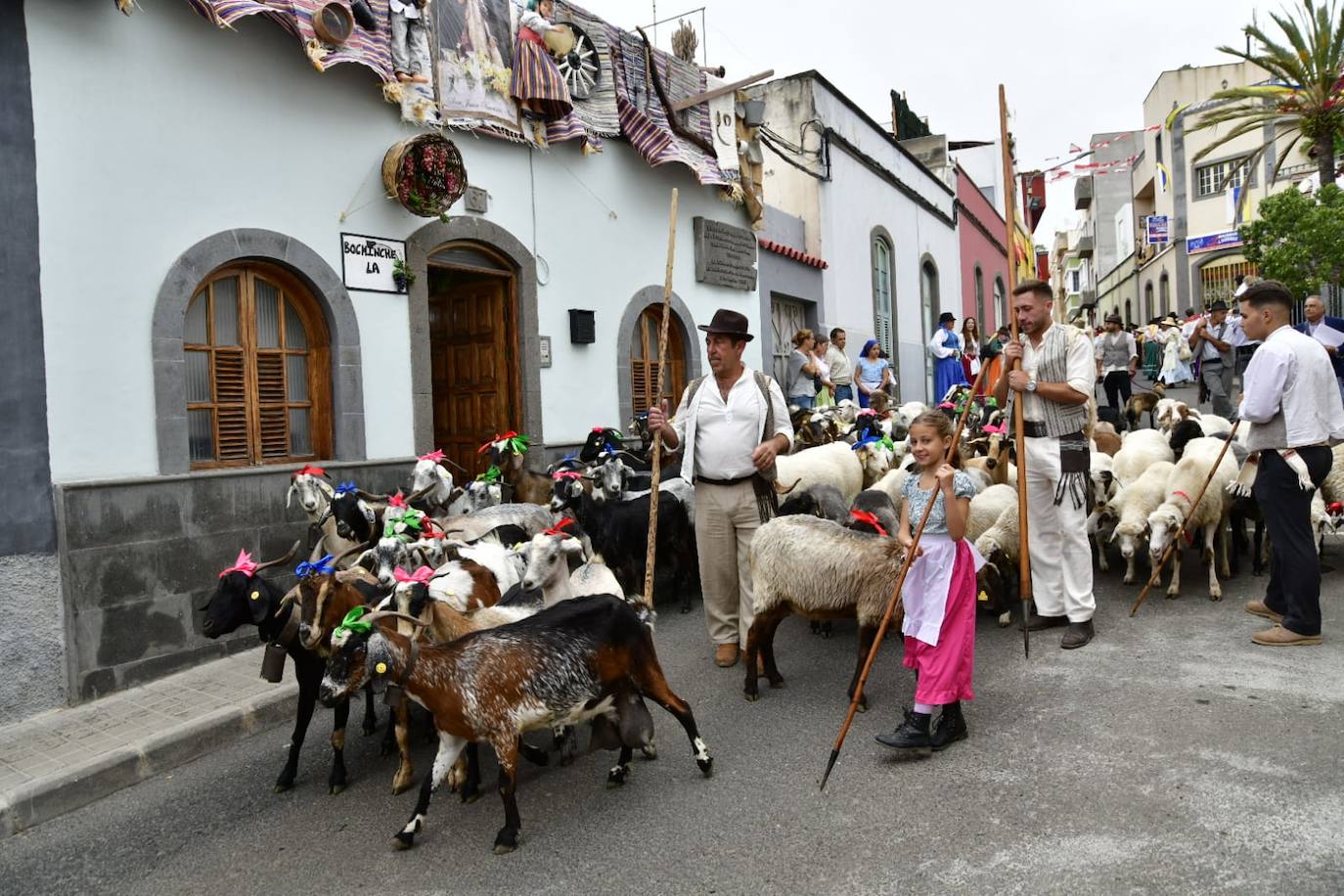 Fotos: Las imágenes de la romería de San Juan en Arucas