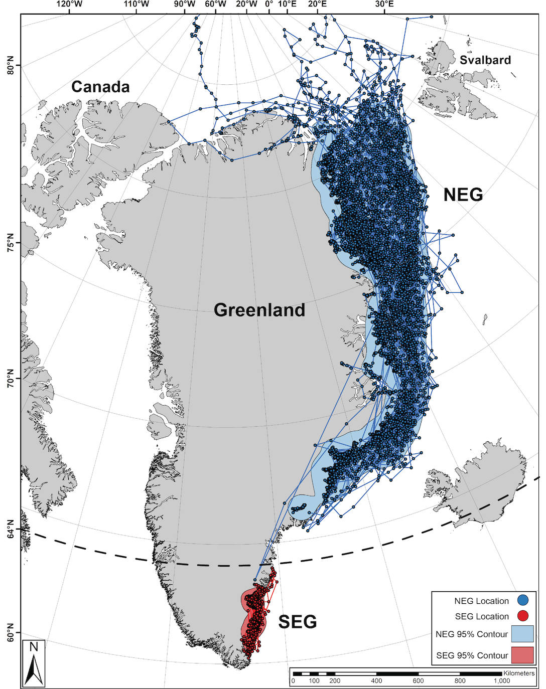 Imagen - Las líneas azules muestran que los osos polares del noreste de Groenlandia viajan a través de un extenso área de la isla en busca de hielo marino para cazar, mientras que los del sureste tienen movimientos más limitados dentro de sus fiordos de origen o fiordos vecinos.