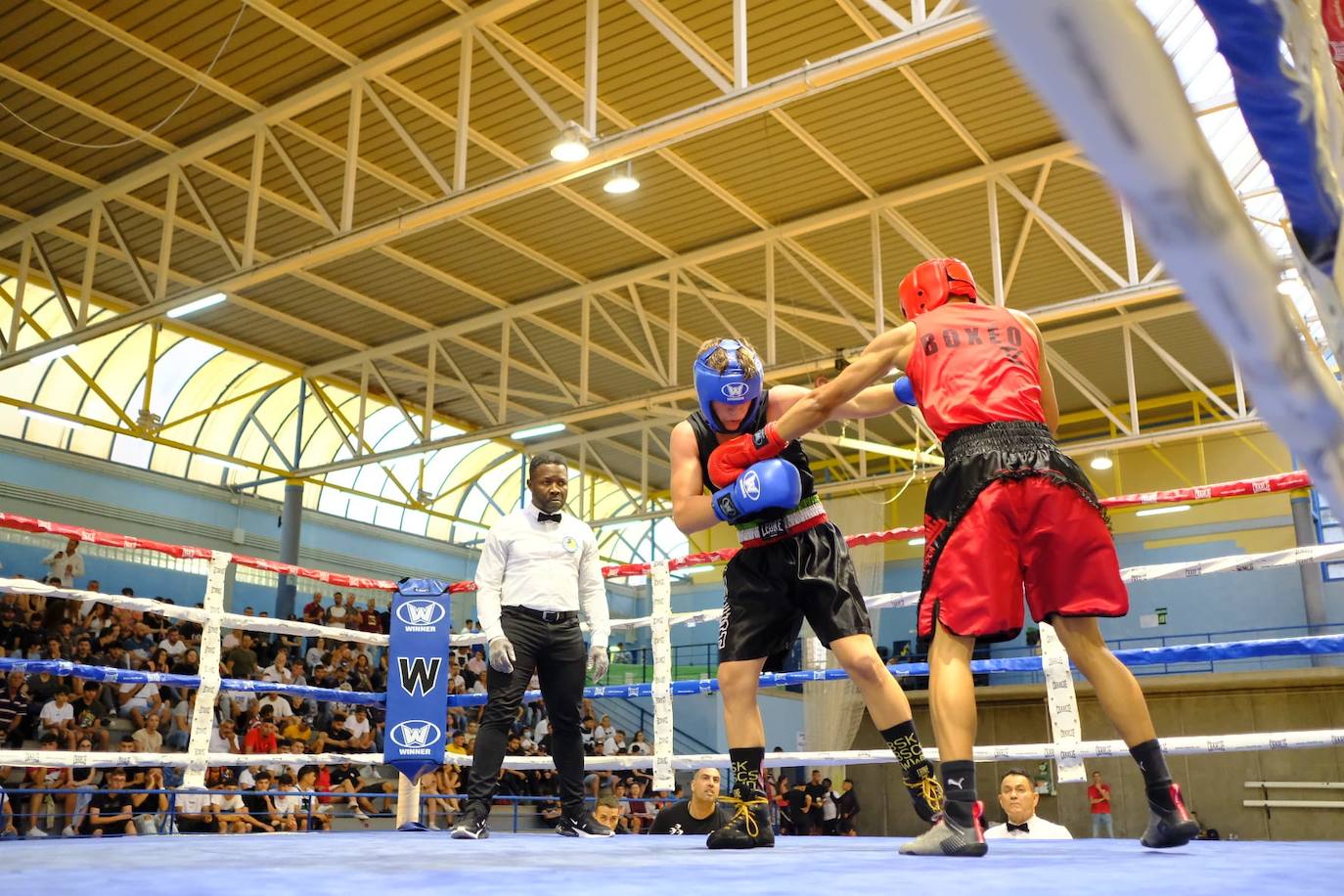 Fotos: Boxea Canarias hace vibrar a la afición