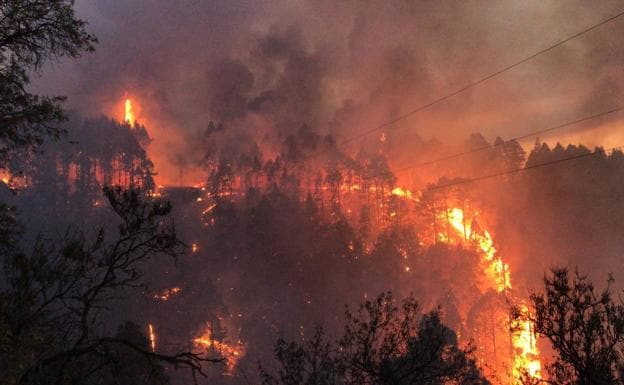 Imágenes del incendio forestal en agosto de 2020 en La Palma. 