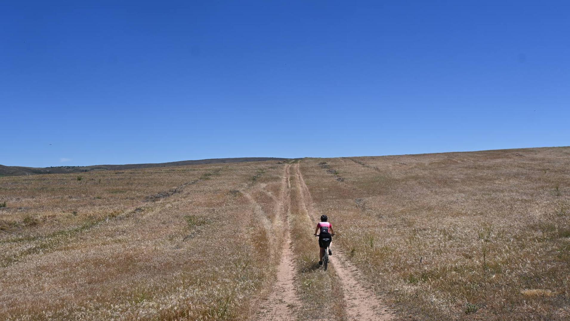 El Camino del Cid en bici: Berlanga de Duero - Atienza: Del destierro a las tierras de frontera