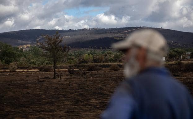 Un hombre observa la Sierra de la Culebra tras la extinción de los incendios.