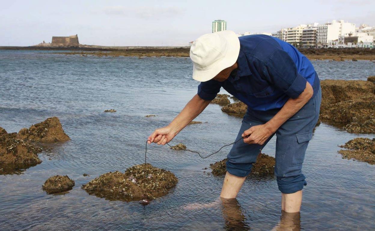 Imagen de un pescador sin relación con la noticia. 