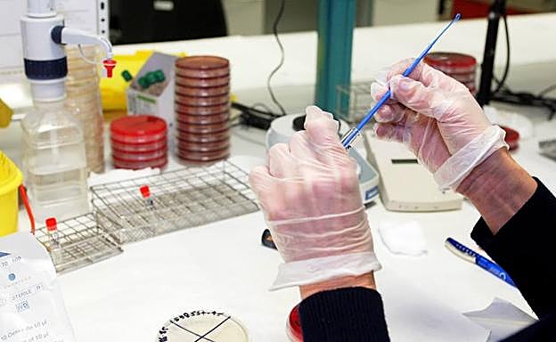 Sanidad notifica un nuevo caso de viruela del mono y siete en estudio, desde ayer