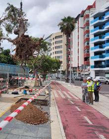Imagen secundaria 2 - Más imágenes de la obra. 
