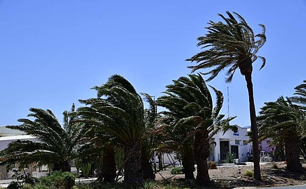 Consulte el tiempo que hará en su isla este martes