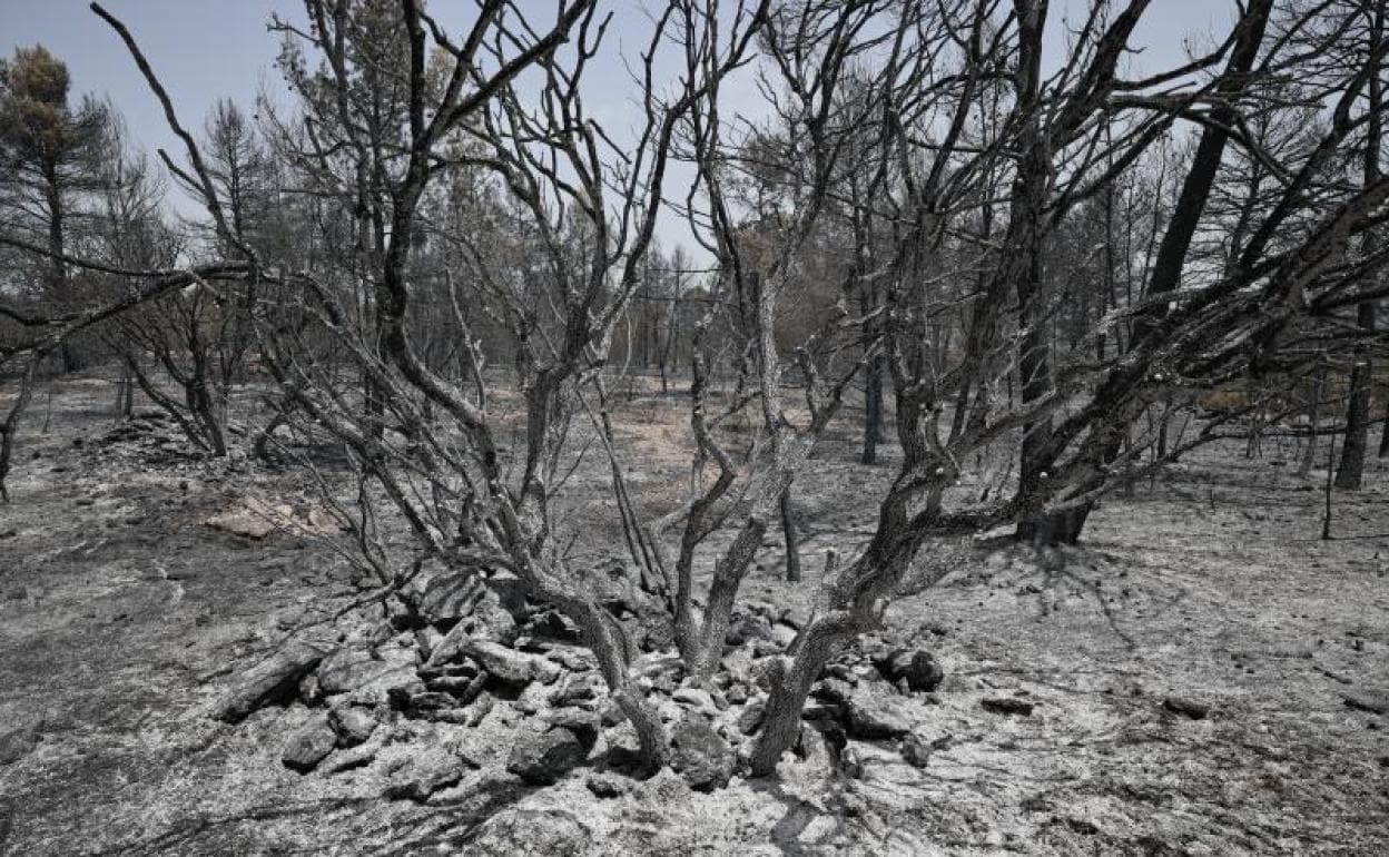 Imagen de la Venta del Moro, en el límite entre Valencia y Cuenca, tras el incendio de los últimos días. 