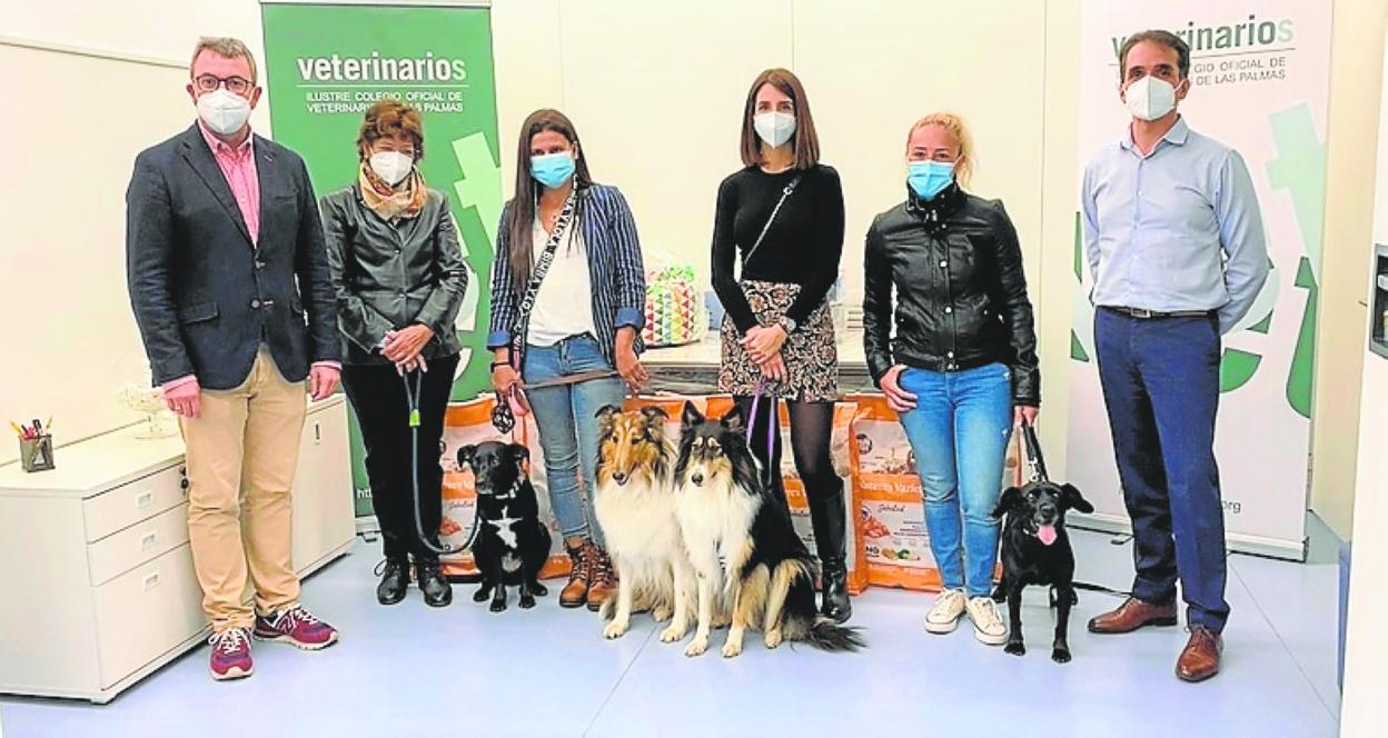 Imagen de las tres ganadoras de la pasada edición. 