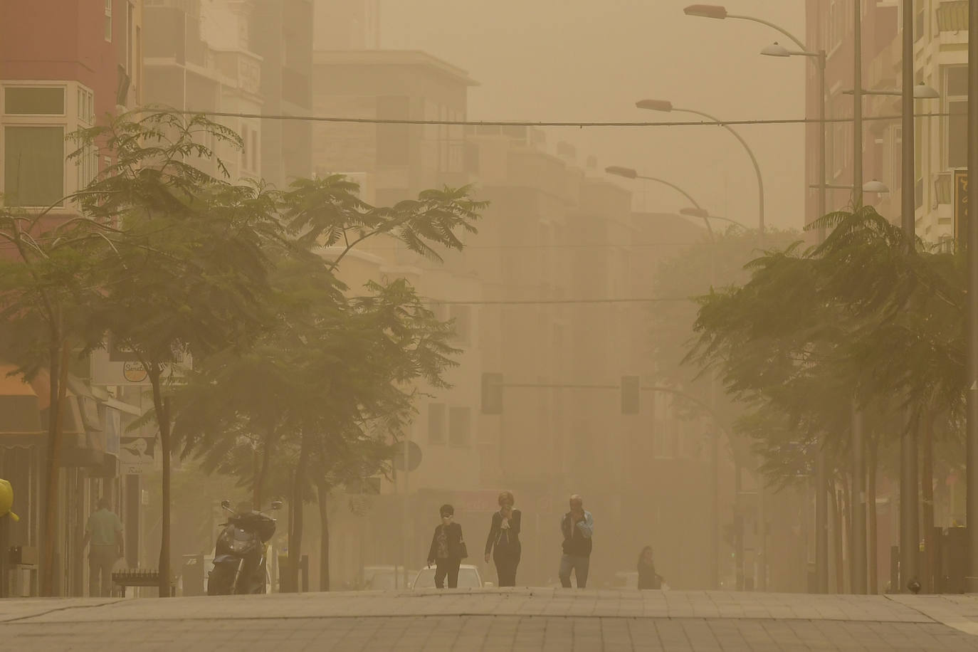Canarias vivió en febrero de 2020 un histórico episodio de calima.