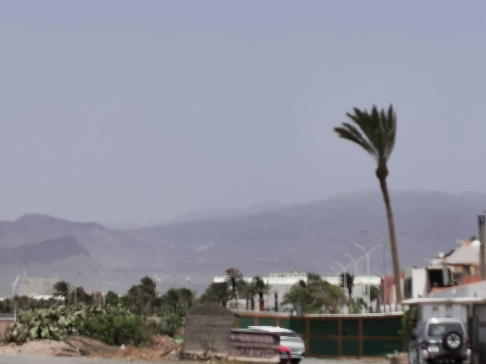 Fotos: El calor se extrema, con más de 40 grados en Gran Canaria