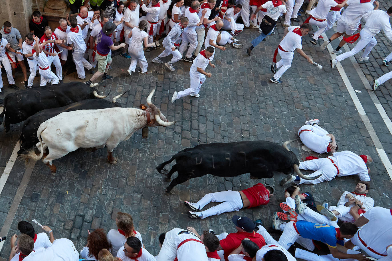 Varios mozos caen ante los toros de la ganadería gaditana de Fuente Ymbro al final del tramo de la cuesta de Santo Domingo.