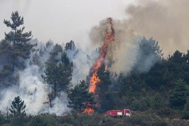 Un incendio forestal activo este sábado cerca de Carballal en la Sierra de O Courel, Lugo