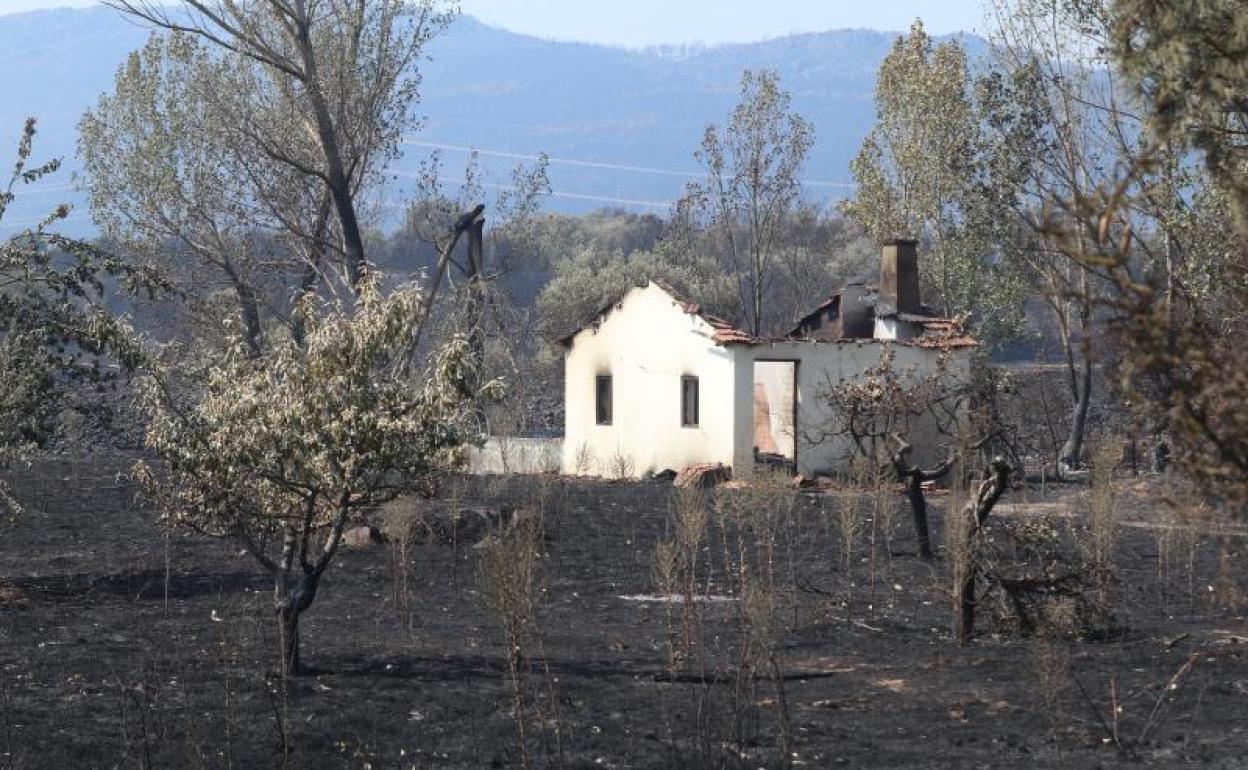 Uno de los incendios de Zamora. 