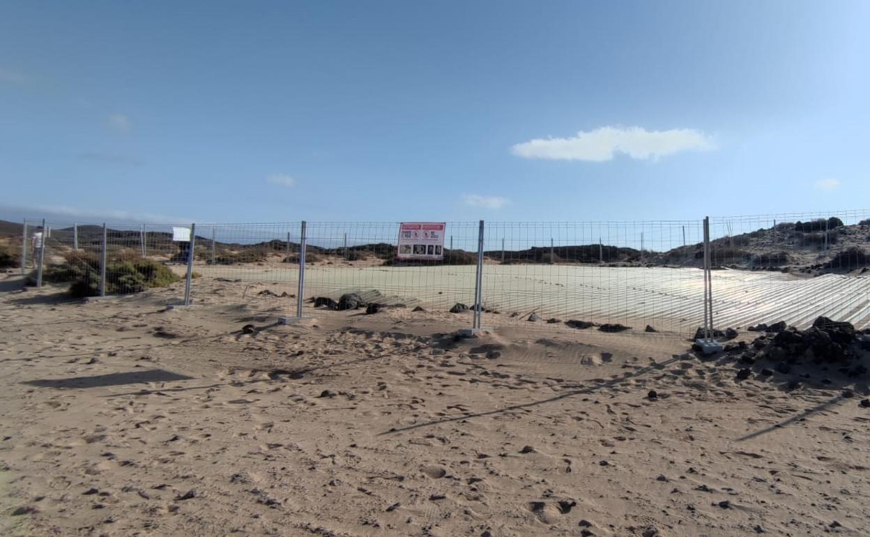 Vallado instalado por el Servicio de Patrimonio Histórico en torno al yacimiento Lobos I, en la playa de la Concha de Lobos. 