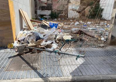 Imagen secundaria 1 - Arriba, Broun, en el solar. Sobre estas líneas, estado en el que estaba y Broun con comida de los vecinos.
