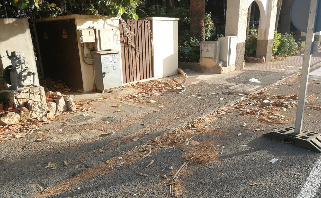El acceso a la zona del palmeral, antes de la campaña municipal de limpieza. 