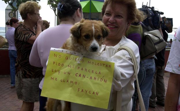 ¿Querría ir con su perro a la playa?