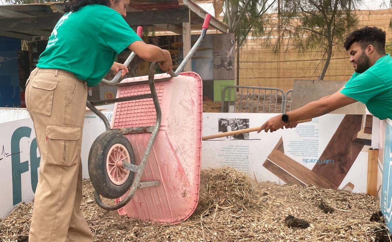 Dos alumnos acumulan las algas tras el secado con restos de poda. 