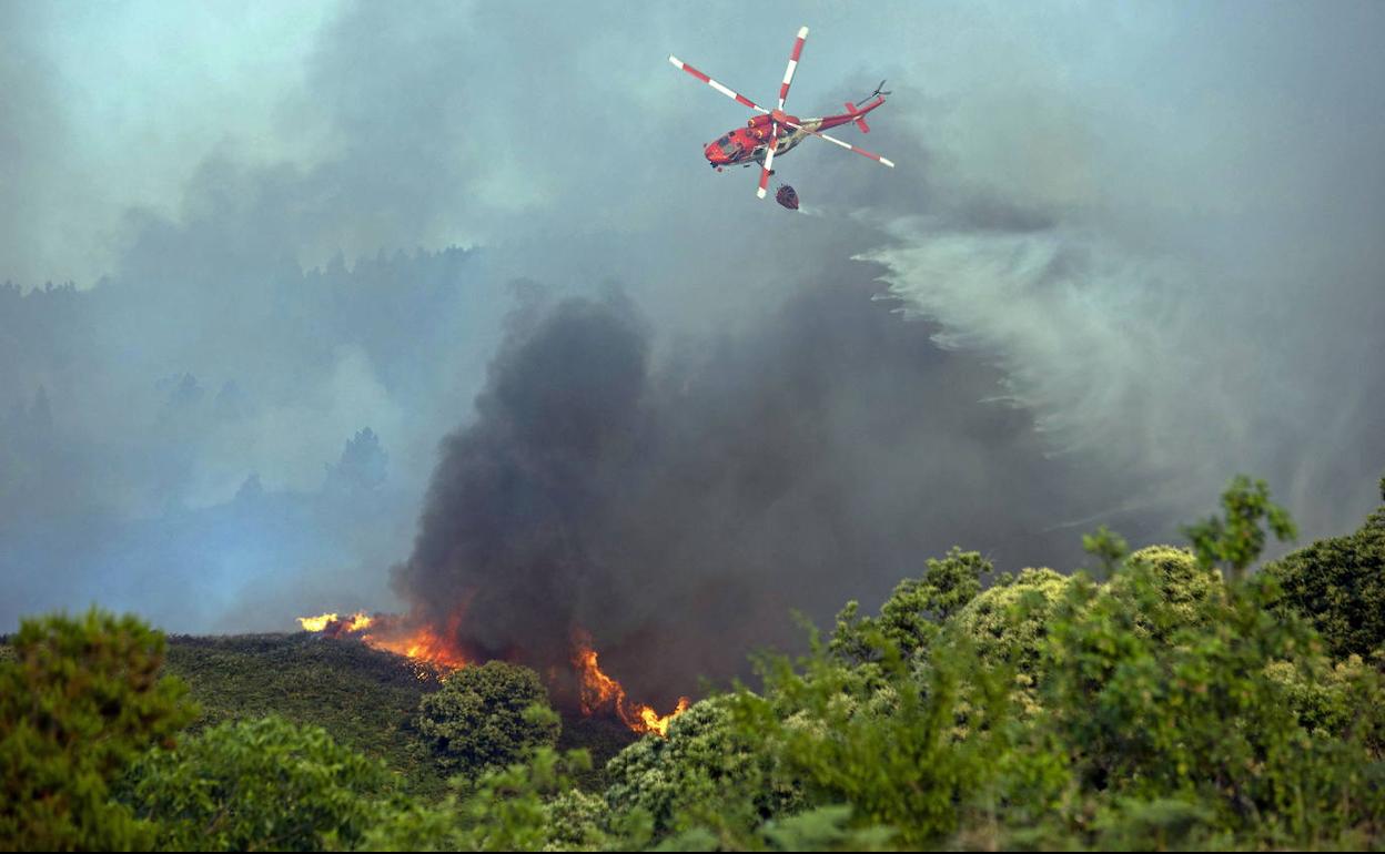 Incendio desatado el pasado julio en el norte de Tenerife. 
