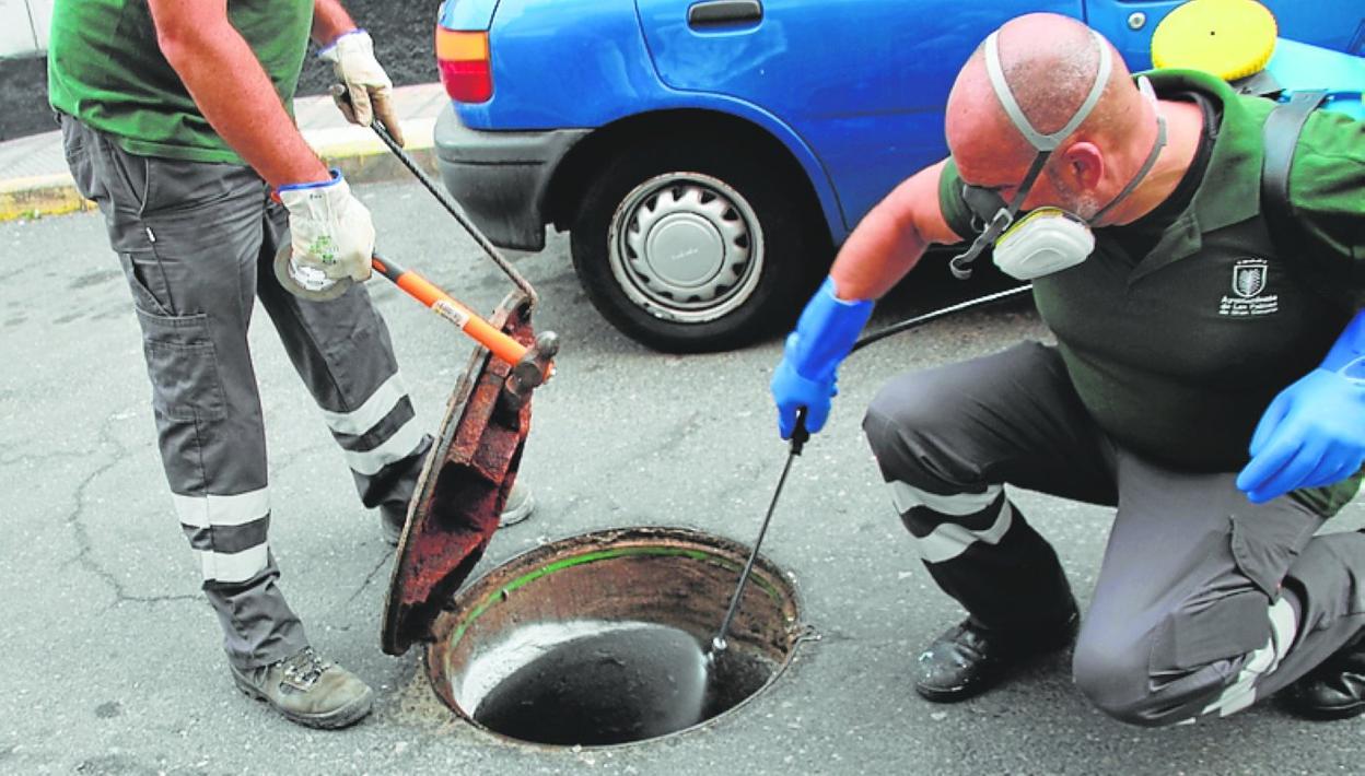 Imagen de trabajadores del servicio realizando su labor. 