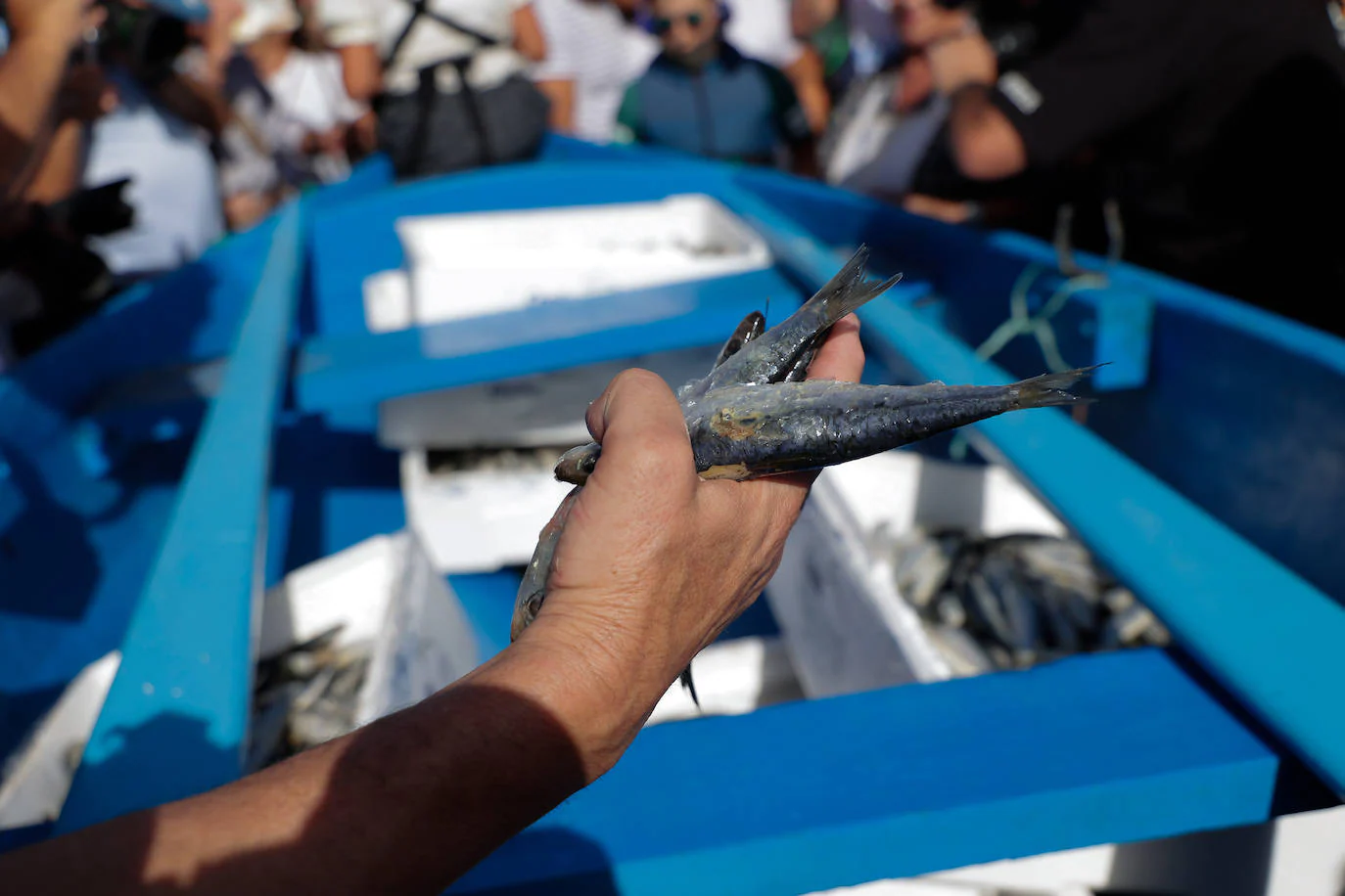 Fotos: La Vará del Pescao más esperada, en imágenes