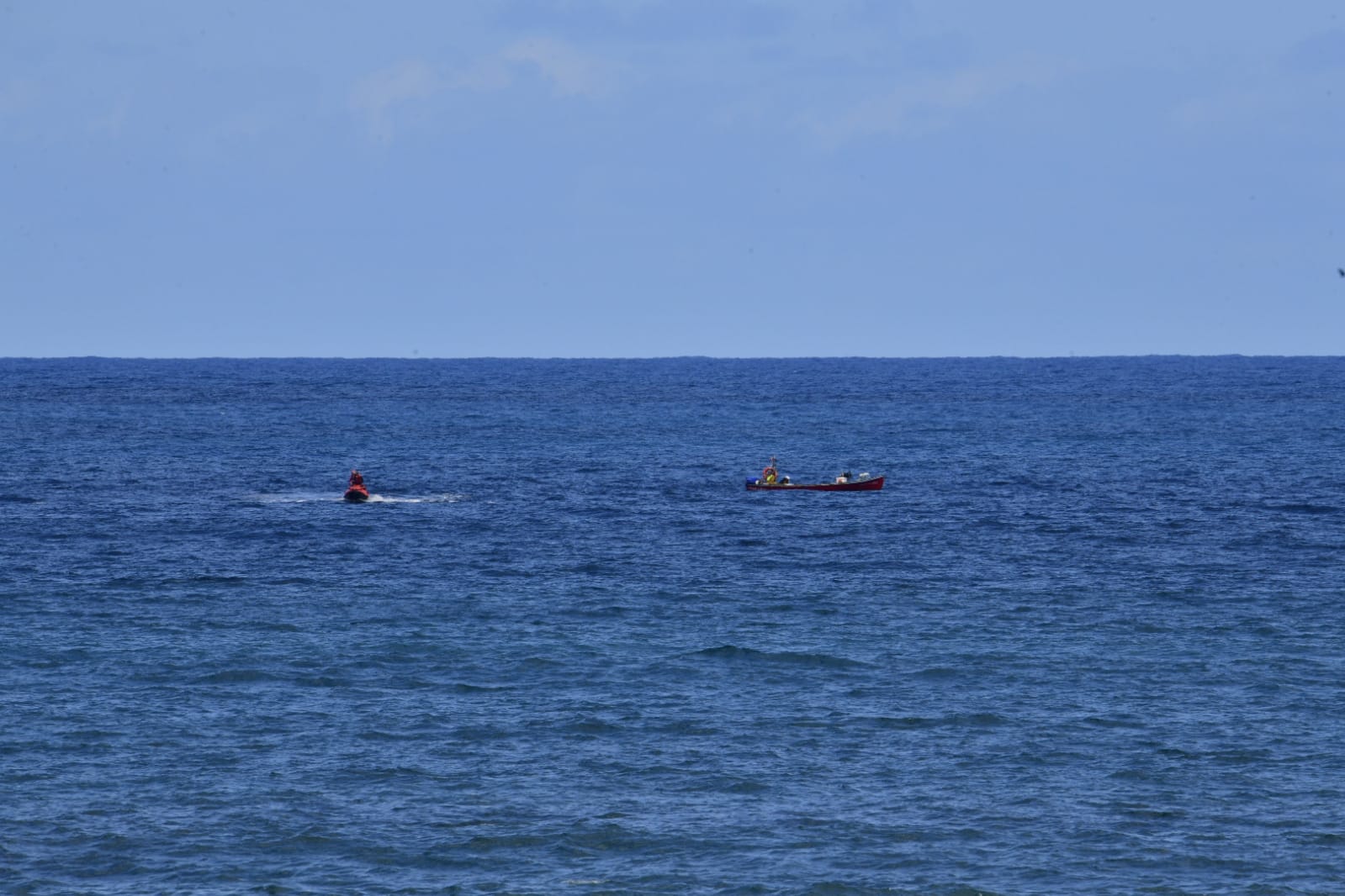 Fotos: Avistamiento de ballenas en la Cicer