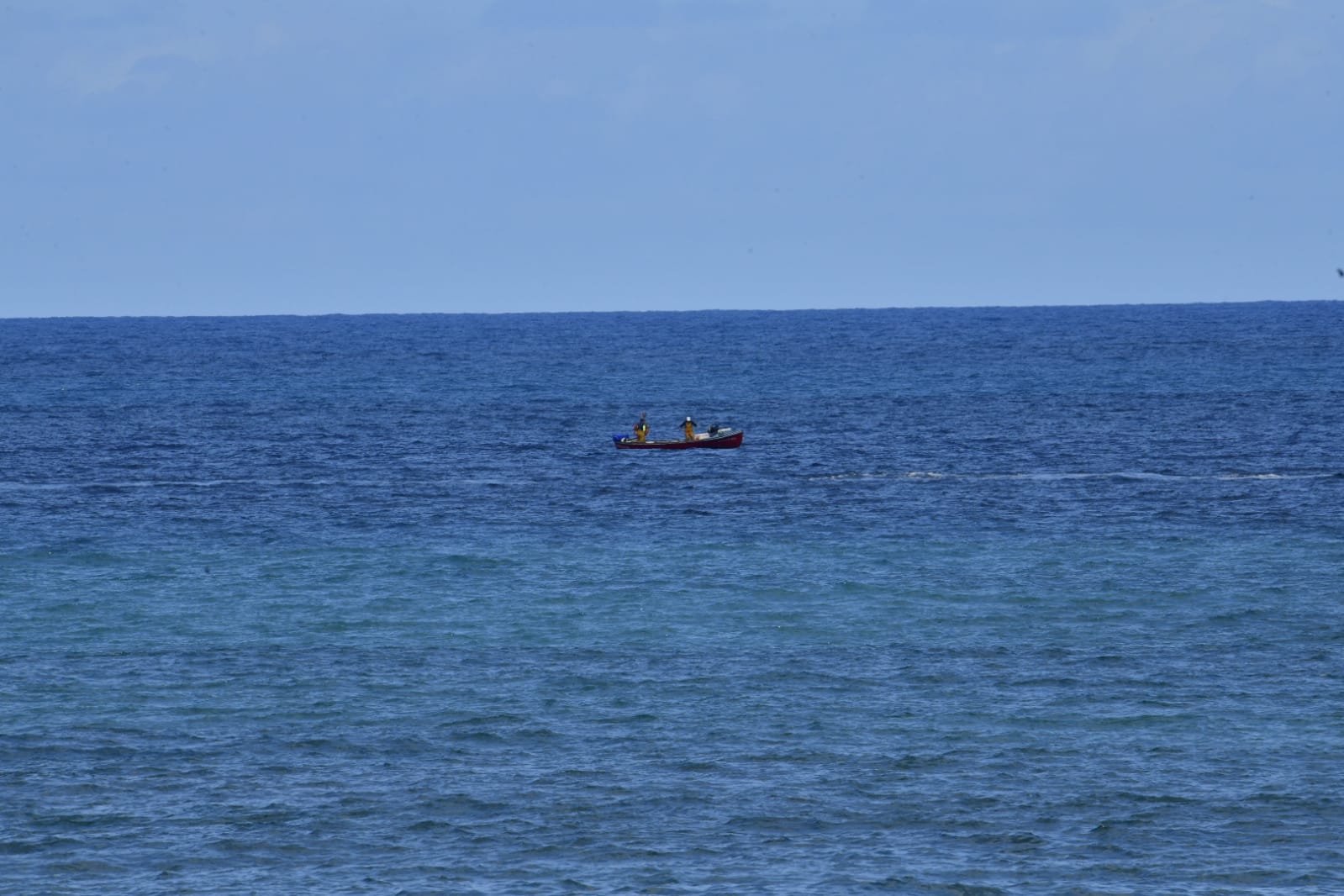 Fotos: Avistamiento de ballenas en la Cicer