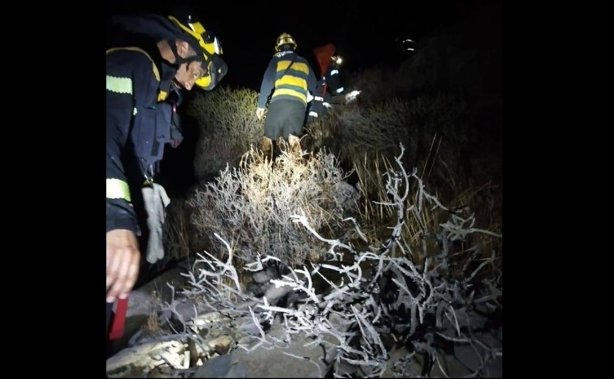 Imagen de los bomberos que acudieron al lugar del incidente. 