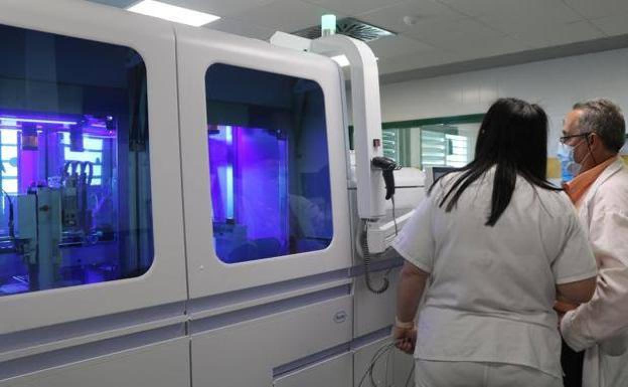 Canarias notifica cuatro casos confirmados de viruela del mono y diez en estudio