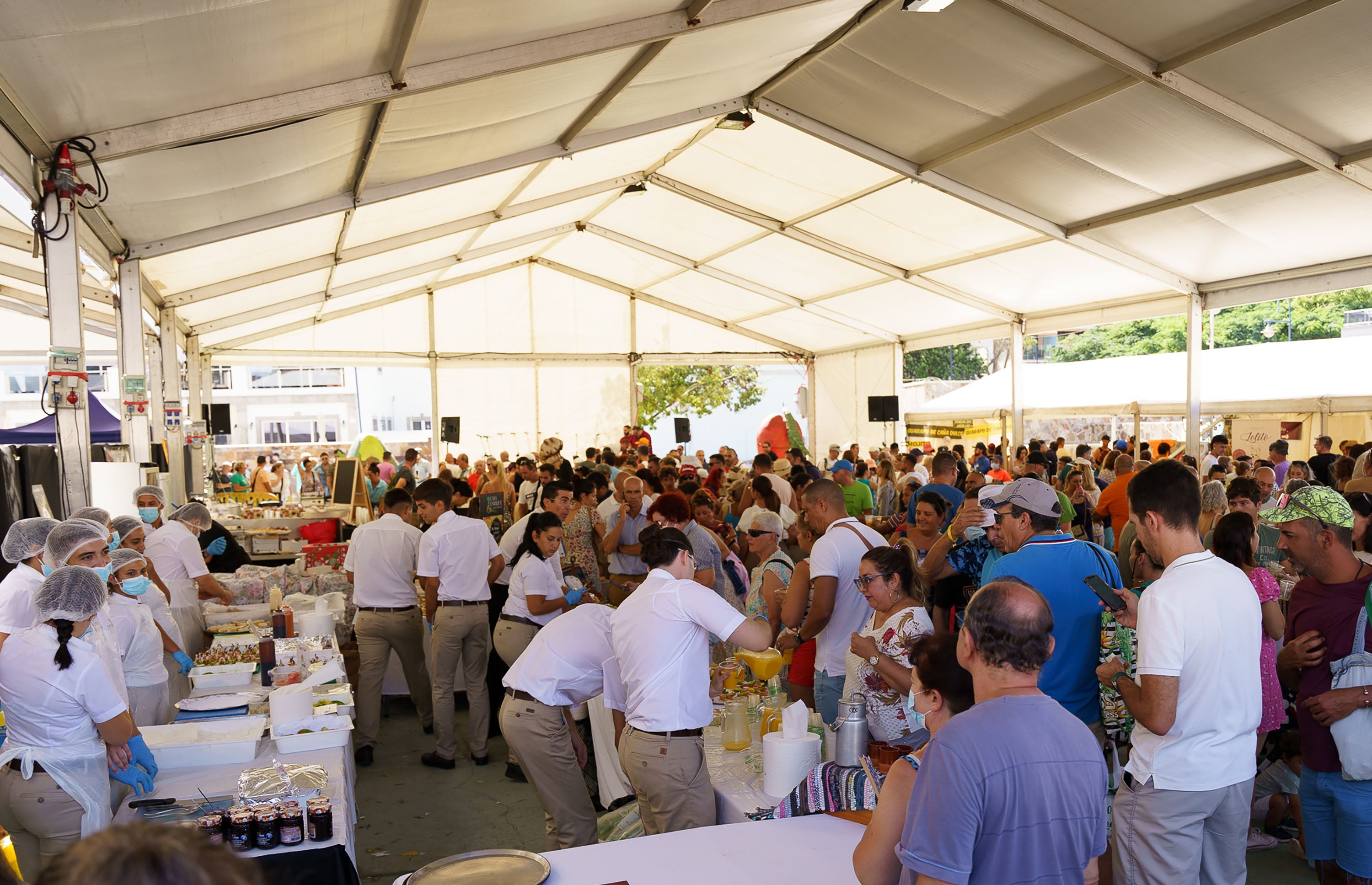 Fotos: Mogán celebra la V edición Feria del Mango y Aguacate de Verano