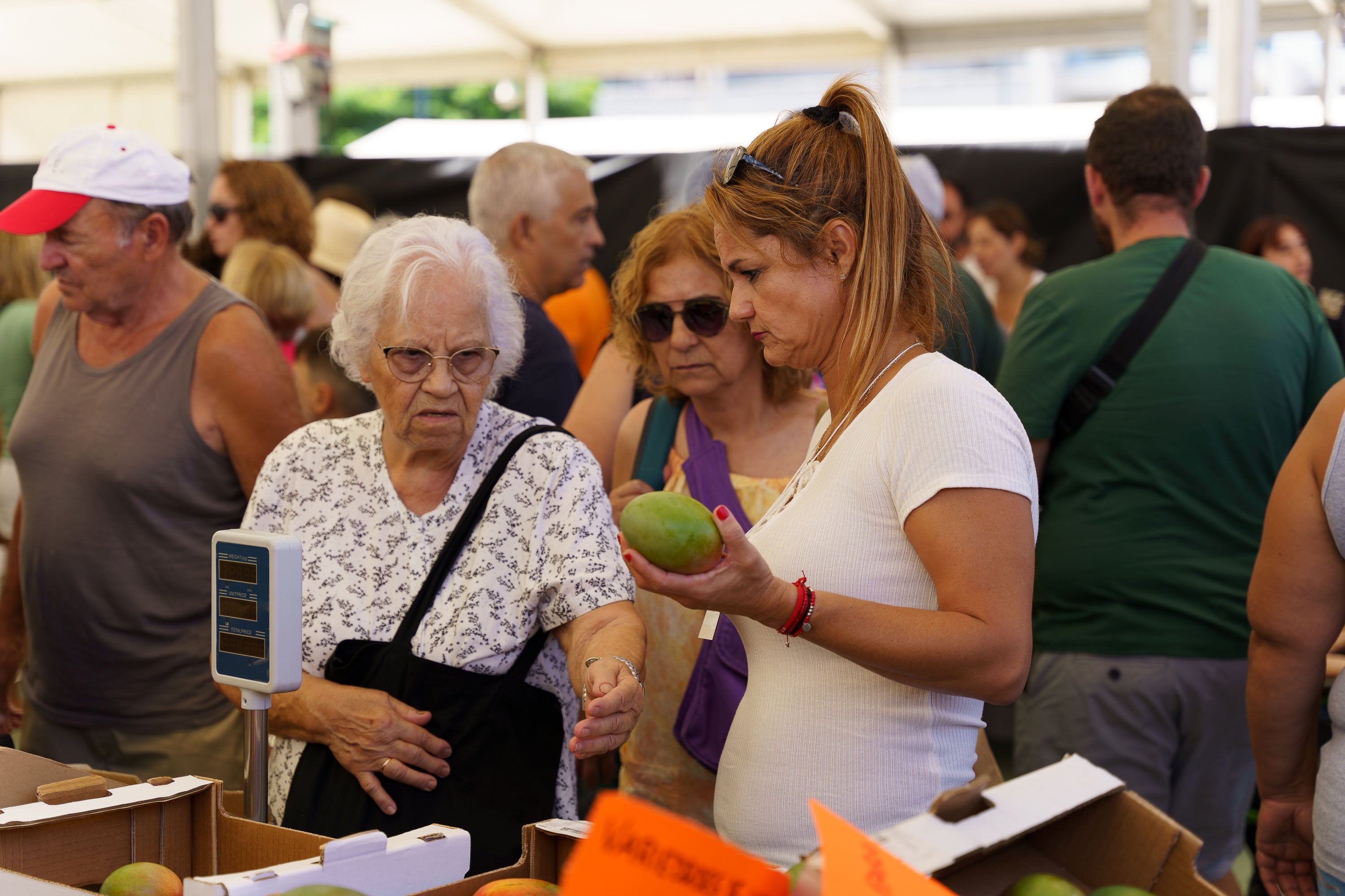 Fotos: Mogán celebra la V edición Feria del Mango y Aguacate de Verano