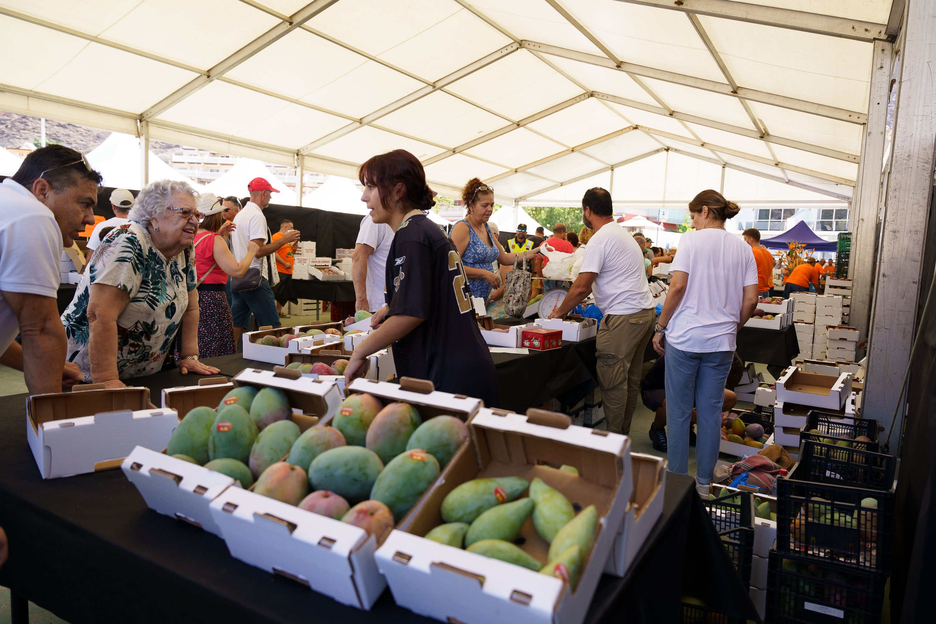 Fotos: Mogán celebra la V edición Feria del Mango y Aguacate de Verano