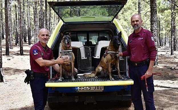 Los agentes del Cabildo Juan Carlos Santana, con Tufia (izquierda), y Jesús Navarro, con Tirma. 