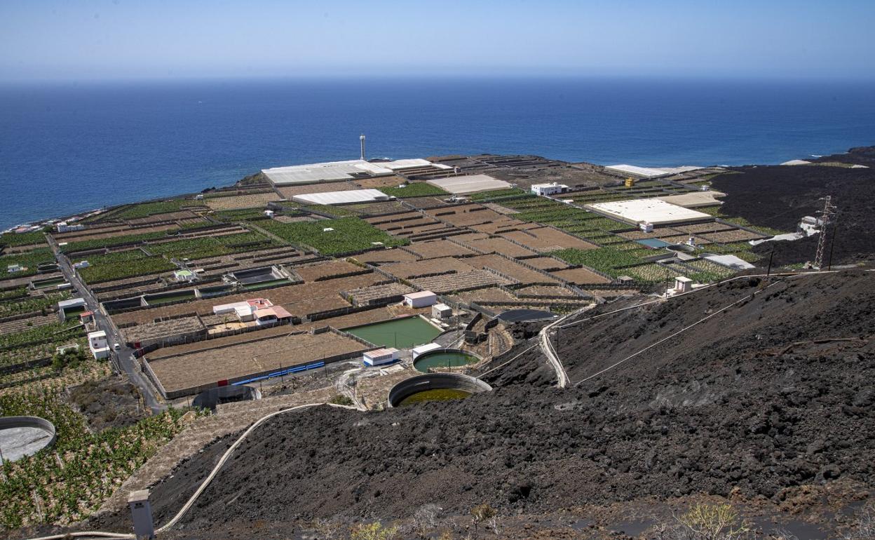 Volcán de La Palma: El turismo coge el timón de la economía palmera