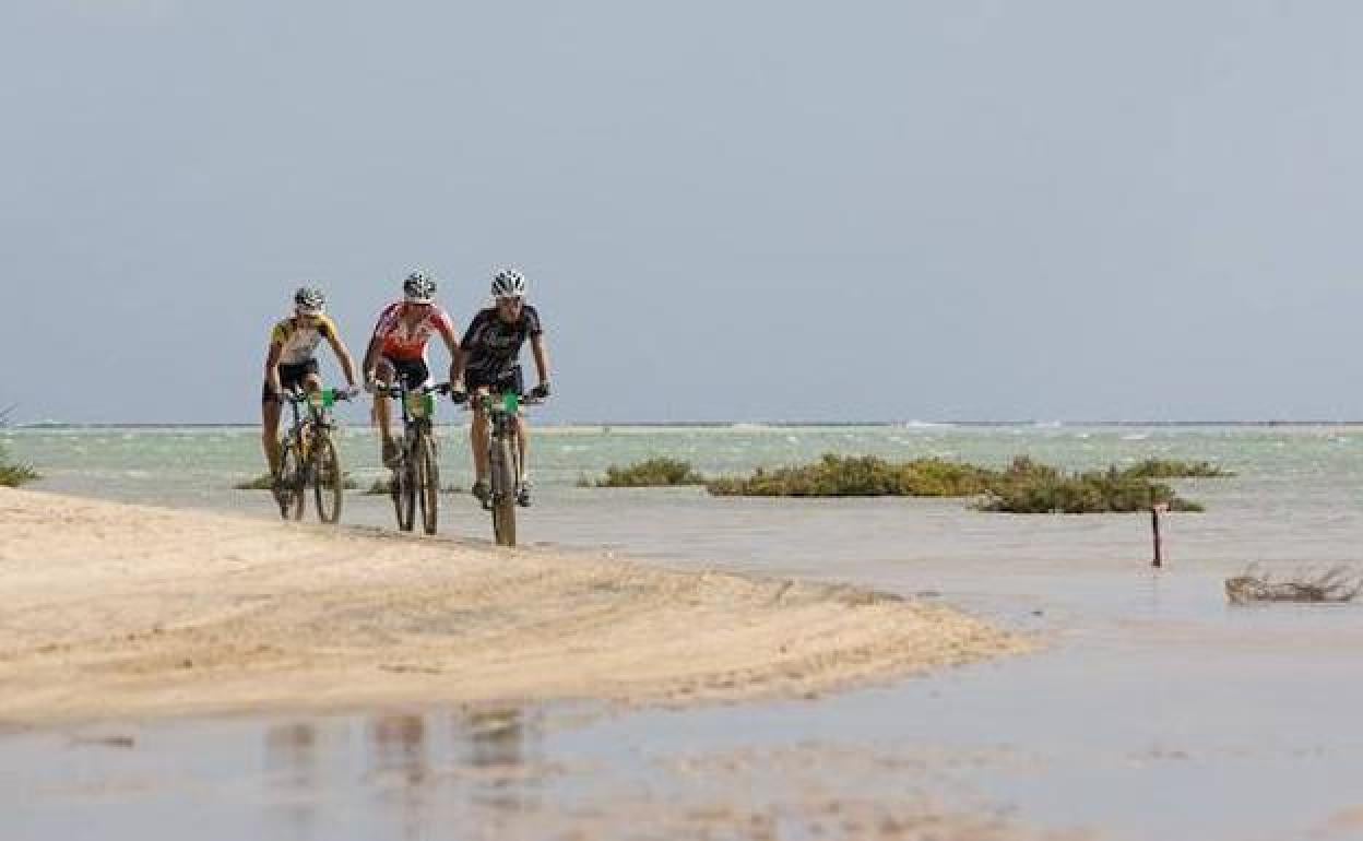 Ciclistas a su paso por las playas de sotavento de Jandía. 
