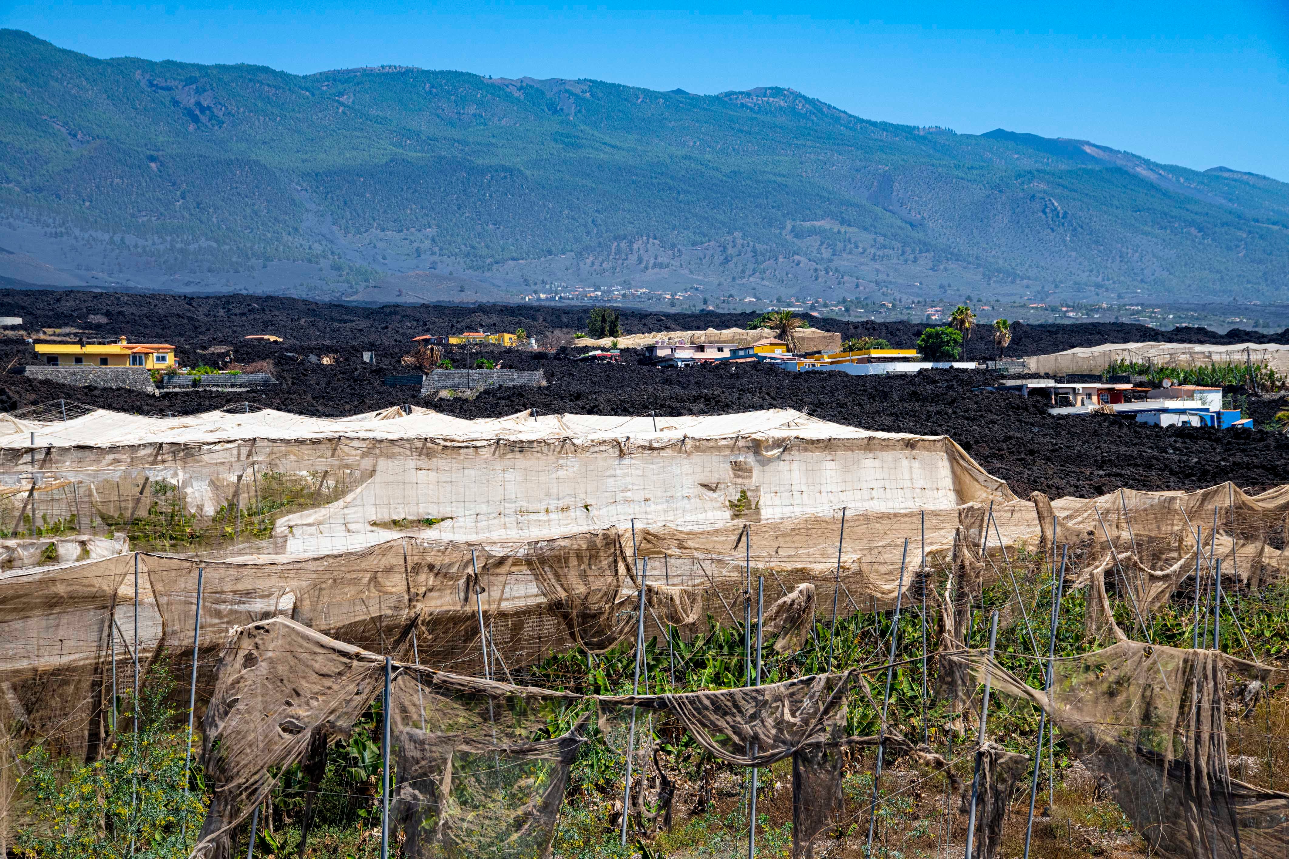 Fotos: Retrato de La Palma un año después de la erupción del volcán