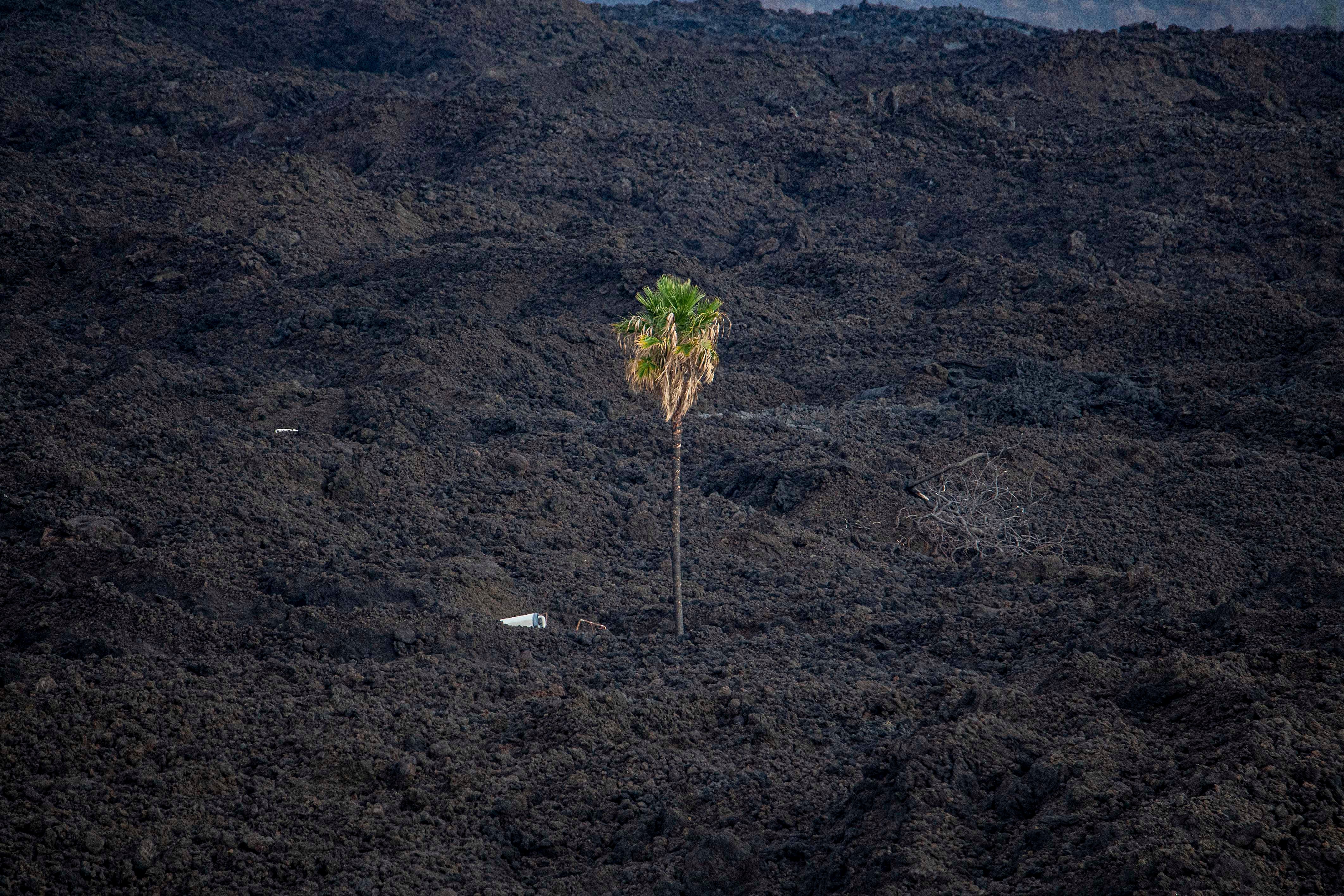 Fotos: Retrato de La Palma un año después de la erupción del volcán