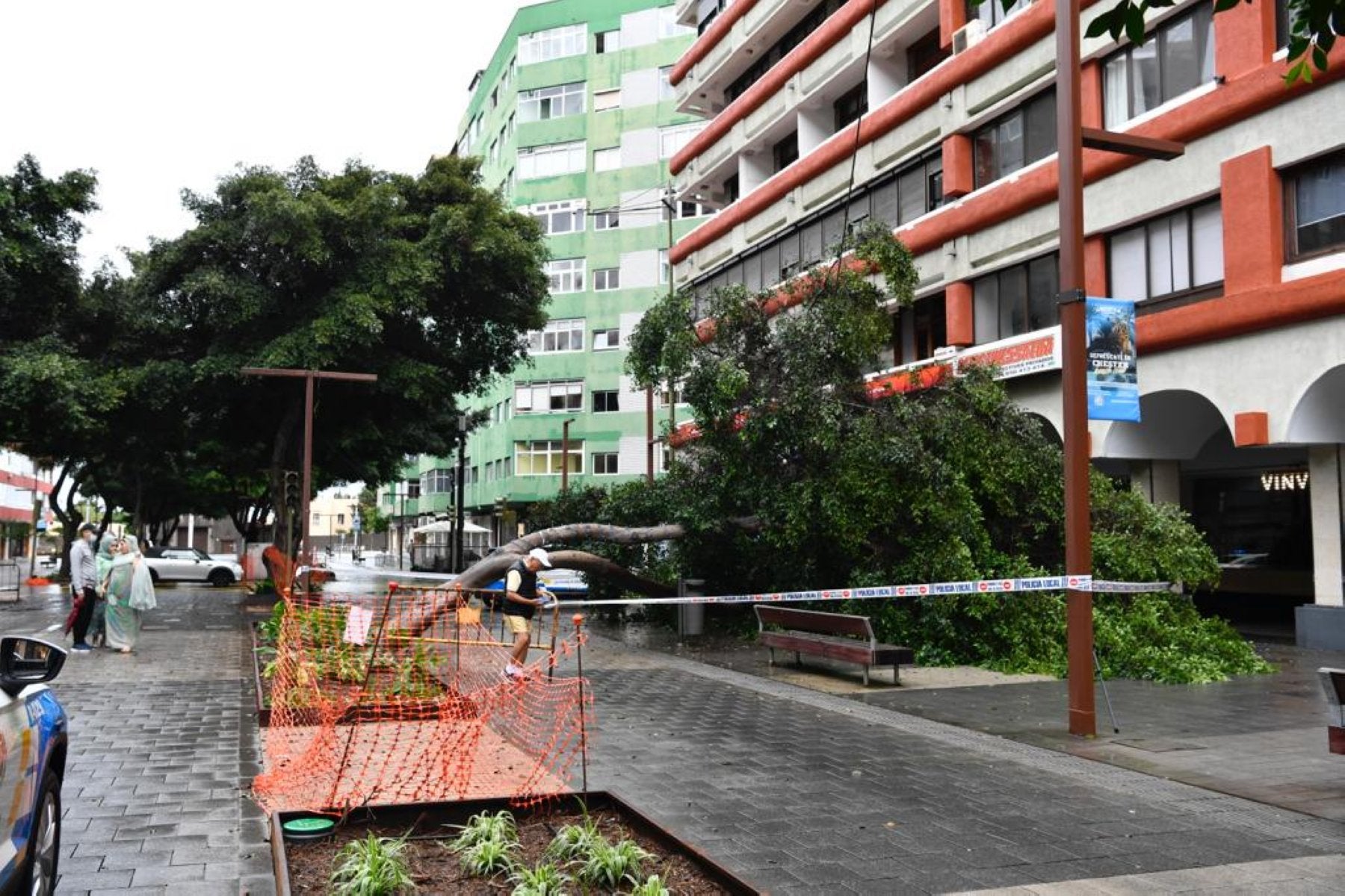 Un árbol cayó en Mesa y López. Por suerte, no hubo que lamentar una desgracia.