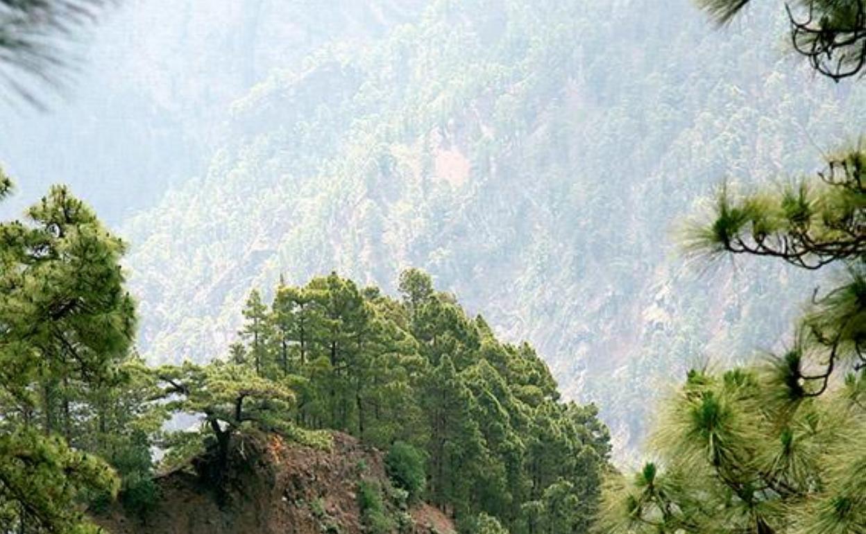 Caldera de Taburiente, emblema de la isla. 