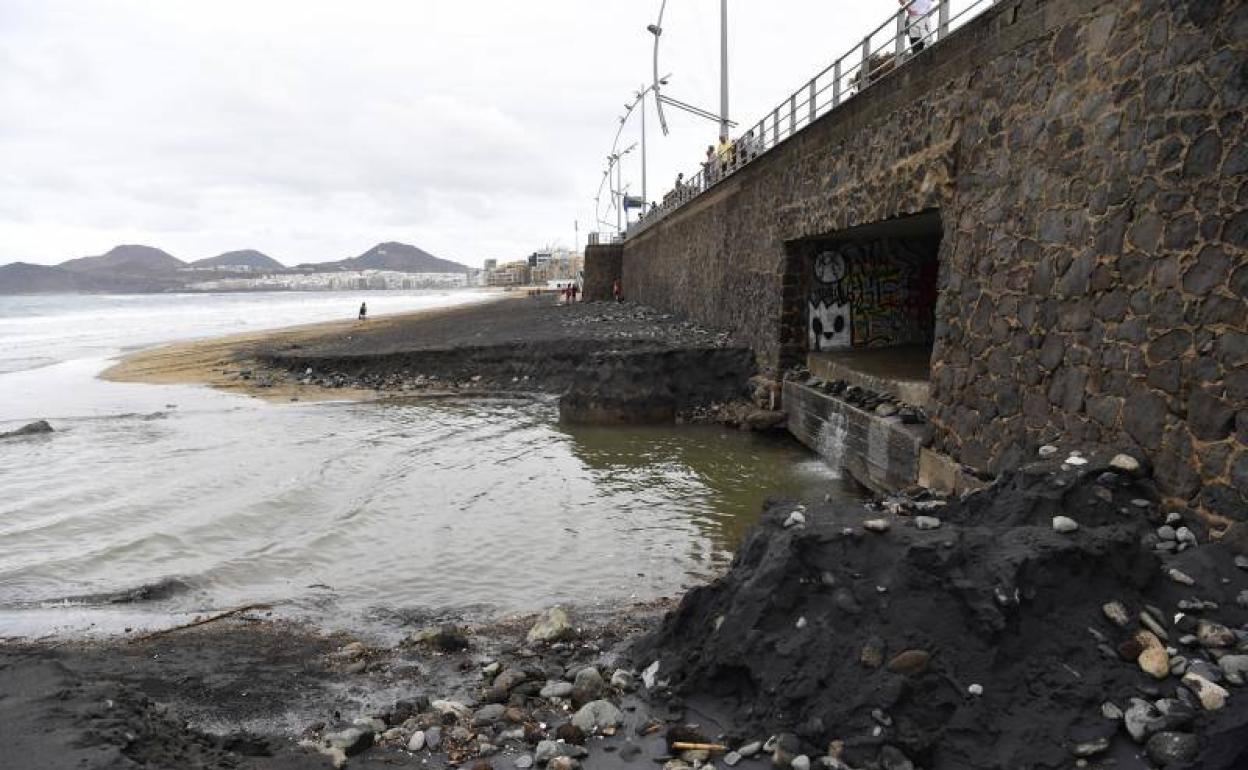 Encuesta: ¿Cómo valoraría la gestión de las instituciones del paso de Hermine por Canarias?