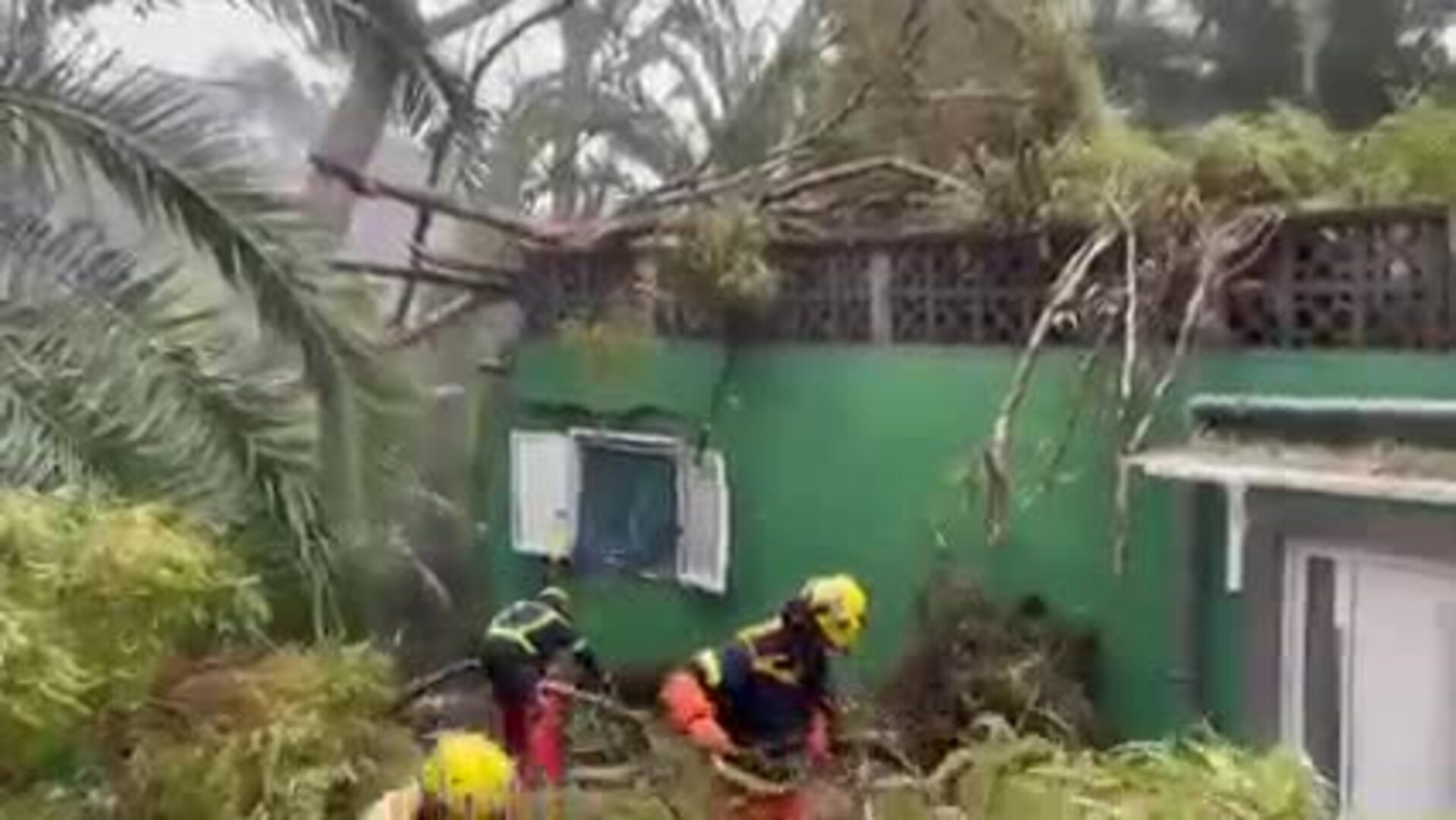 Bomberos de Gran Canaria  despejando con motosierra una vivienda a la que le cayó un árbol por Hermine