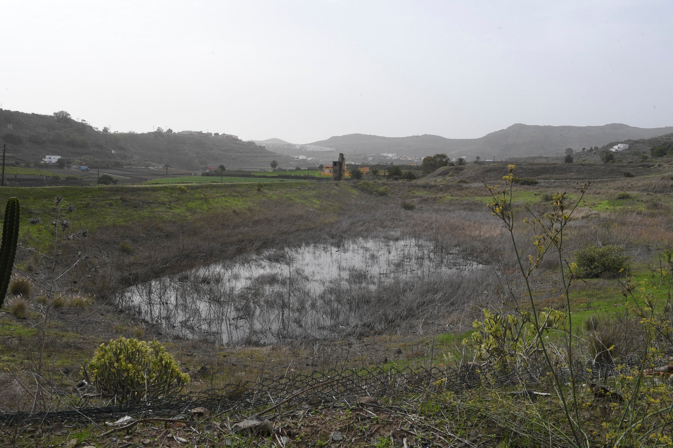 Fotos: Los ecologistas paran los vertidos en Riquianez