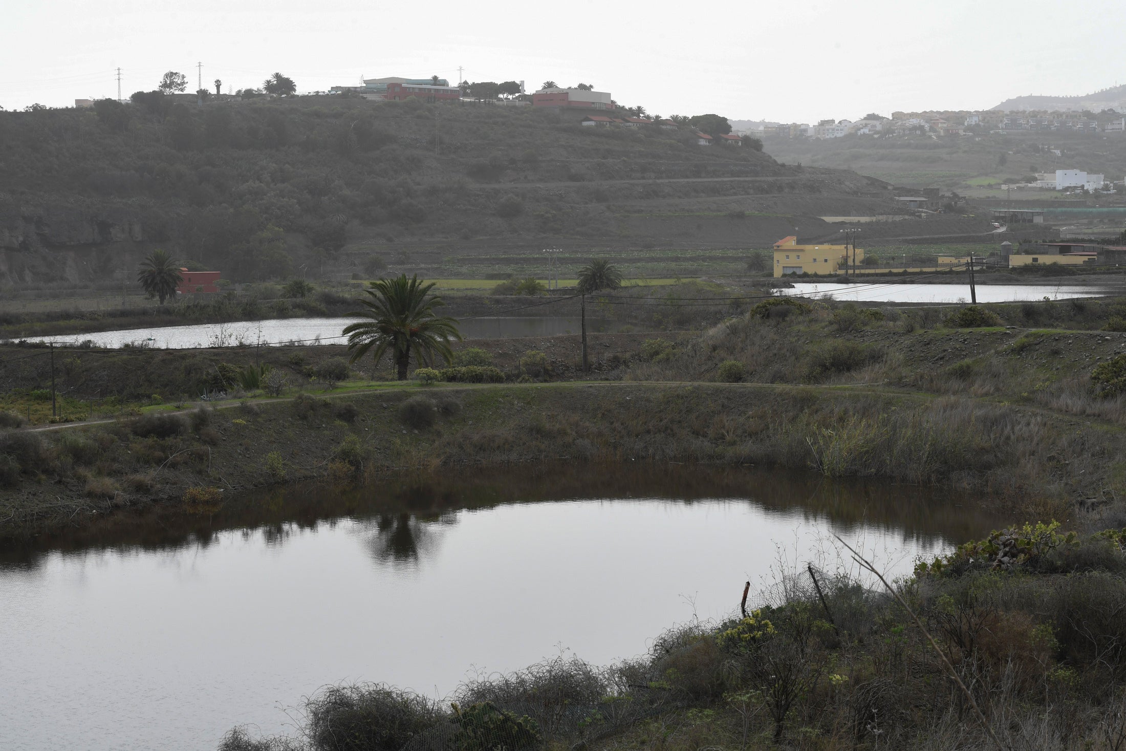 Fotos: Los ecologistas paran los vertidos en Riquianez