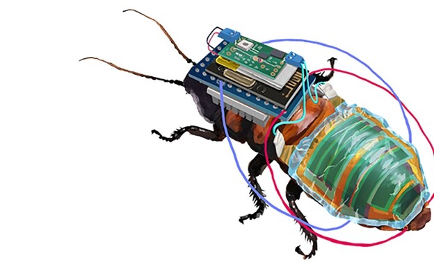 Una cucaracha cyborg con batería recargable.